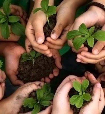 DOCÊNCIA NA EDUCAÇÃO AMBIENTAL