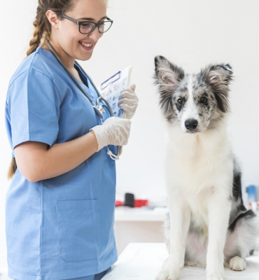 SAÚDE PÚBLICA APLICADA A MEDICINA VETERINÁRIA