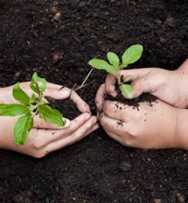 ECOLOGIA E GESTÃO AMBIENTAL