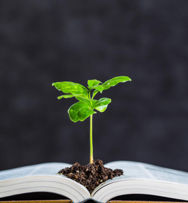 GESTÃO E EDUCAÇÃO AMBIENTAL