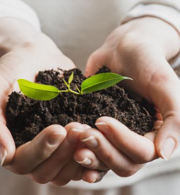 GESTÃO AMBIENTAL E DESENVOLVIMENTO SUSTENTÁVEL