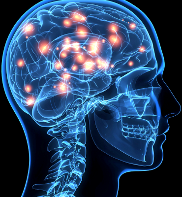 NEUROCIÊNCIA DAS EMOÇÕES APLICADA À REABILITAÇÃO