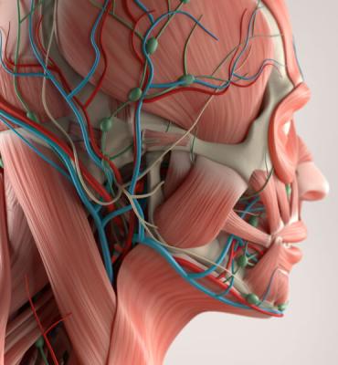 FISIOPATOLOGIA HUMANA