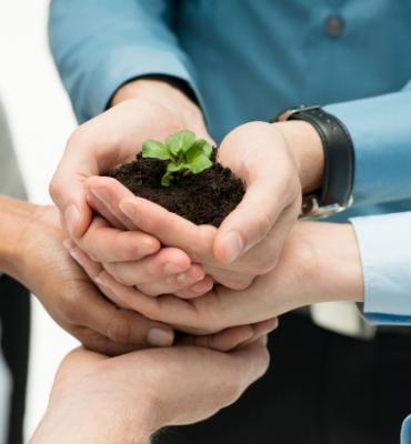 CERTIFICAÇÃO AMBIENTAL E CONSULTORIA