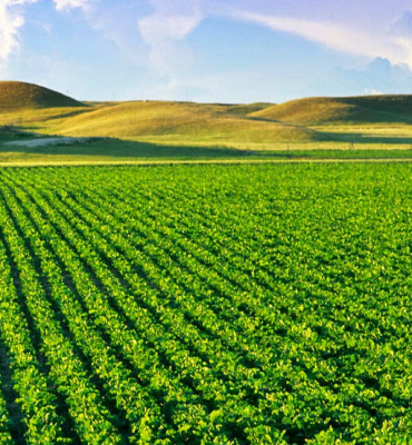 MBA EM AGRONEGÓCIOS